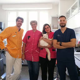Photo n°16 de Clinique Vétérinaire du Forum à Talence (Vétérinaire)