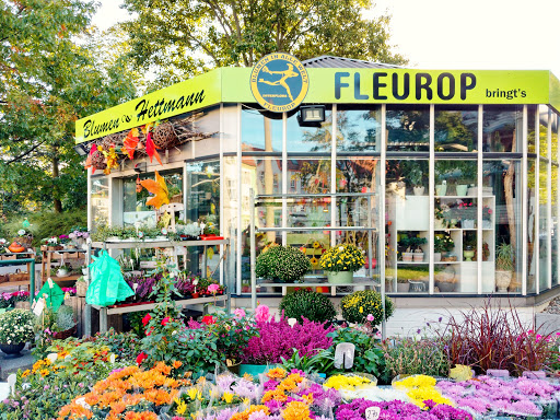 Blumen Hettmann - Thumbnail