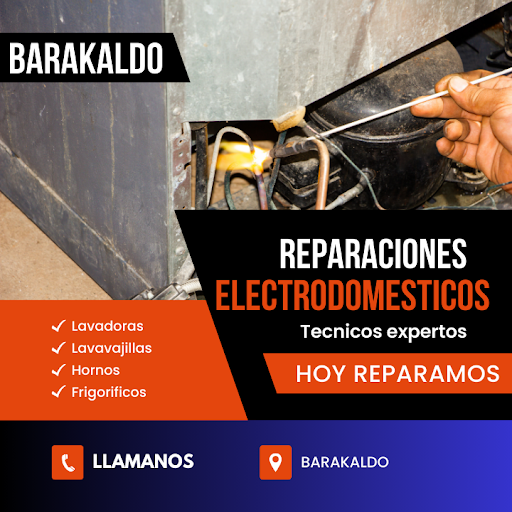 reparaciones barakaldo Zanussi electrolux