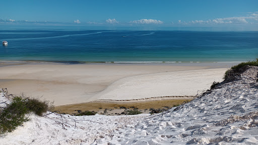 Tasman Venture - Thumbnail