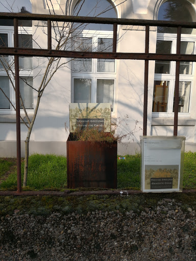 Atelierhaus Darmstadt - Thumbnail