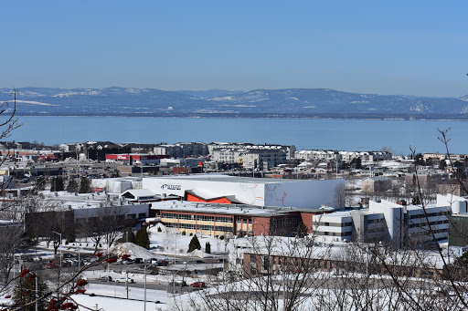 Stade Premier Tech - Visual