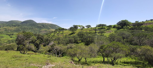 San Antonio el Mogote