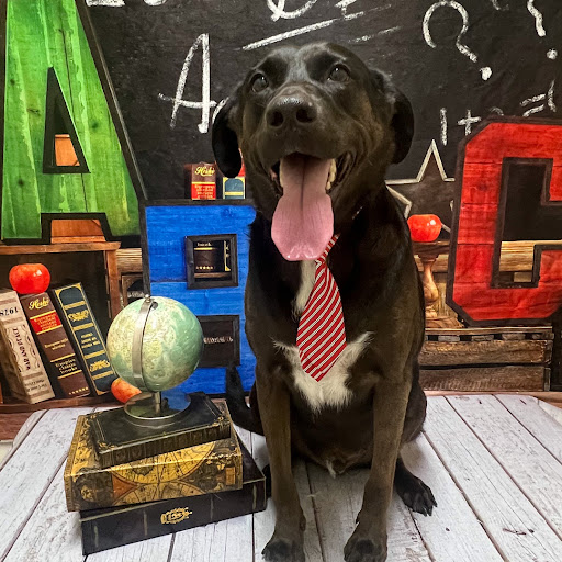 Puppy Parlor Logo