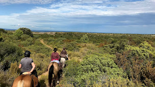 Photo n°5 de Pôle Équestre de Léran - Labeda Philippe à Léran (Centre équestre)