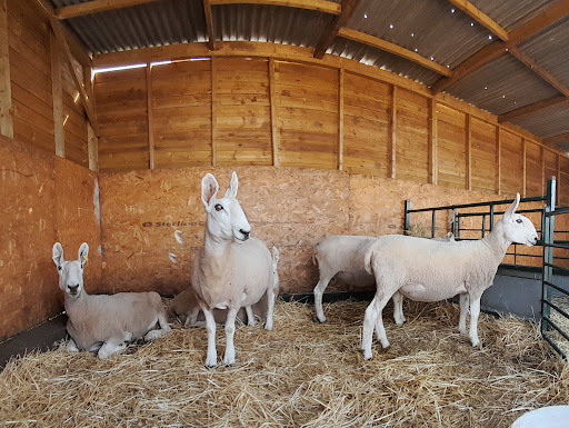 Nick's Farm - Visual