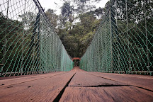 Kuala Woh Recreational Forest, Tapah, Malaysia