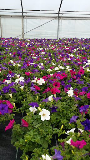 Gärtnerei Karl Gleissner Blumengeschäft Gallery - Germany