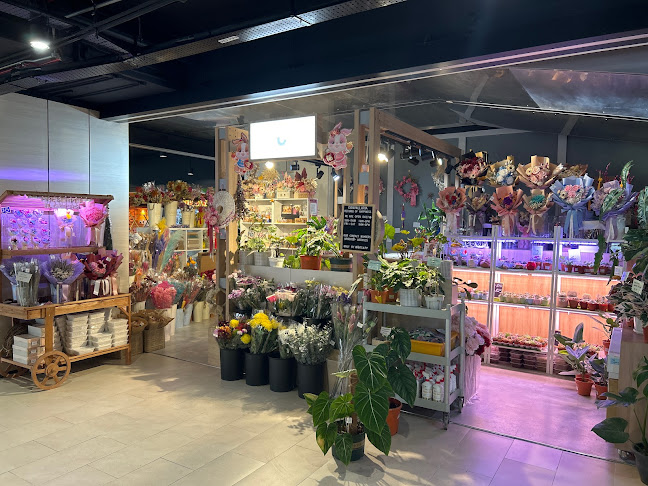 Convallaria - Singapore