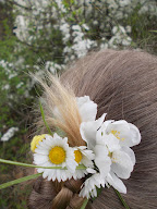 Les Cheveux de Bérénice à Saint-Georges-sur-Baulche