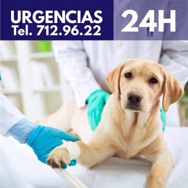 Centro Médico Veterinario de Alta Especialidad