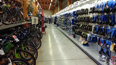 Photos of BIKE Market GmbH (Rostock-Schutow)