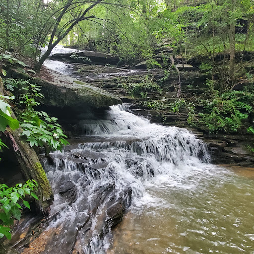 Nectar Falls - Visual