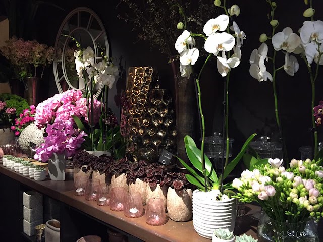 Tiffany Levain fleuriste