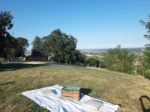 Podere Baratta - Visual