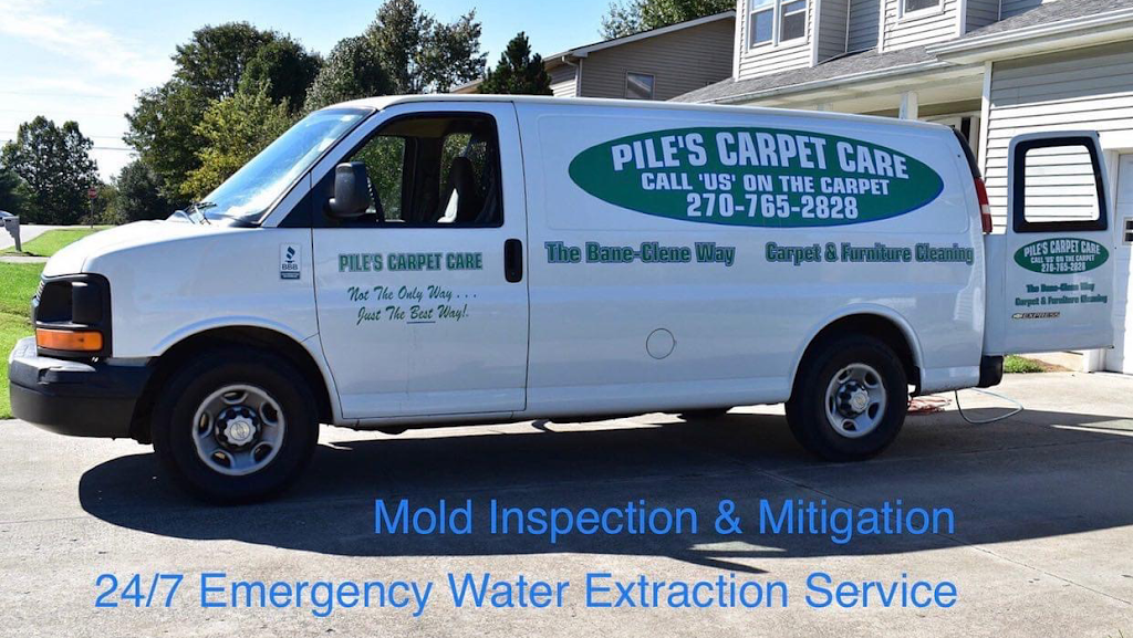 Pile's Carpet Care & Restoration Service photo