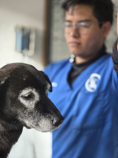 Clínica Veterinaria Xolo