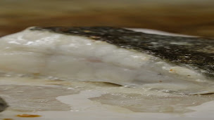 Photo n°14 de La Cala à Canet-en-Roussillon (Restaurant méditerranéen)