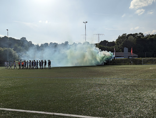 Menz Arena - Visual