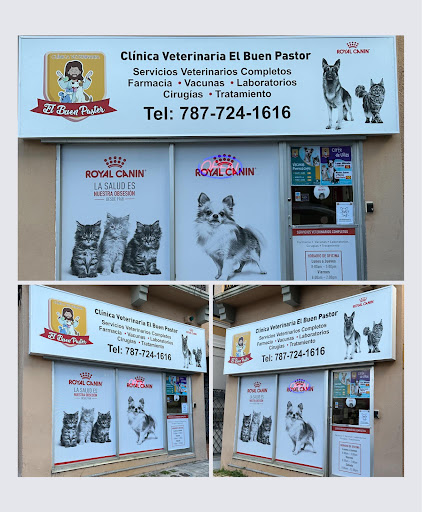 Clinica Veterinaria El Buen Pastor