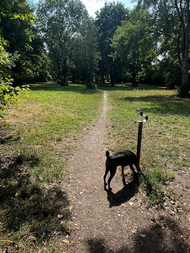Hundewiese - Hundeauslauffläche