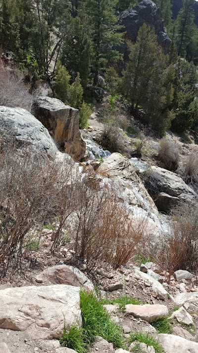 Goldbug Hot Springs