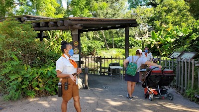 Lesser Flamingo Exhibit