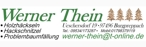 Werner Thein - Visual