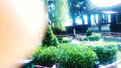 Photos of Restoran "Impul's"
