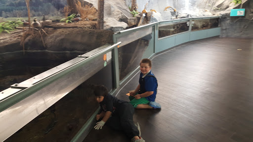 Fraser Valley Trout Hatchery & Visitor Centre - Thumbnail