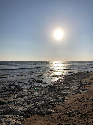 Photo n°23 de Eperon Dolusien à Dolus-d'Oléron (Centre équestre)