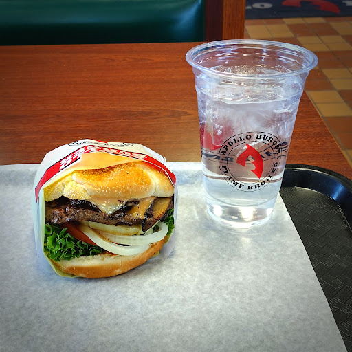 Apollo Burger - Visual
