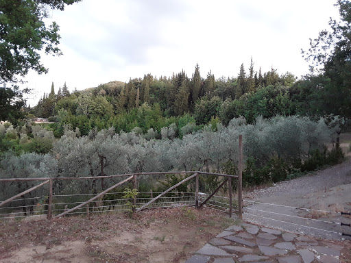 Al Podere Del Viandante - Thumbnail