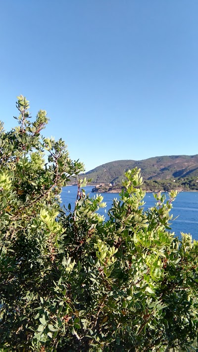 Photos of Forte Focardo