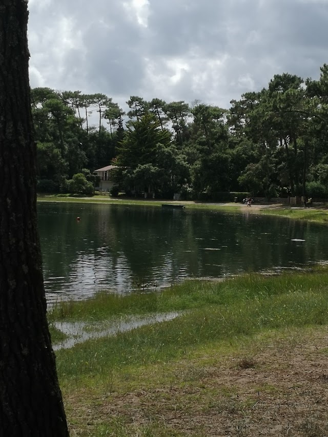 Chez Vergez cabane à huîtres