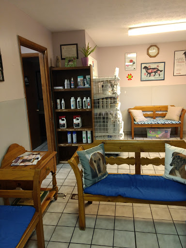 Petlovers Animal Hospital - Thumbnail