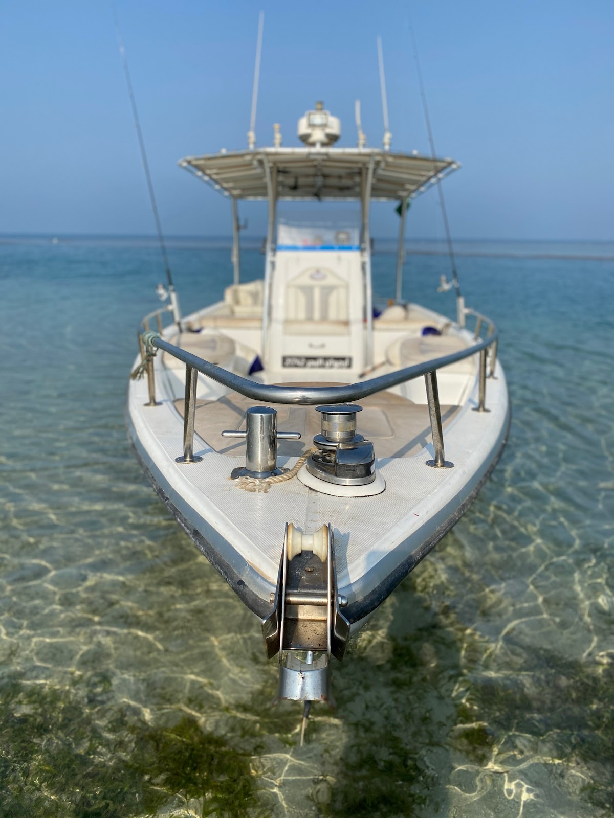 ربان المحيط - صورة 4