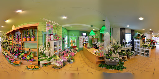 Oya Fleuriste - Thumbnail