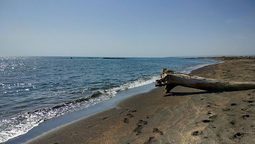 Scoglio di Tosi - Thumbnail