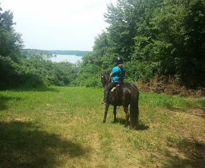 Codorus Trailer Parking