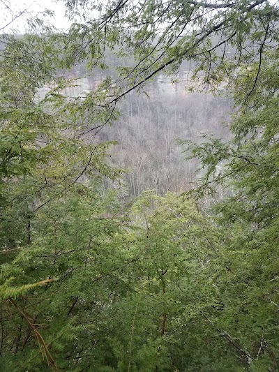 Colorblind Viewfinder - Fall Creek Falls State Park