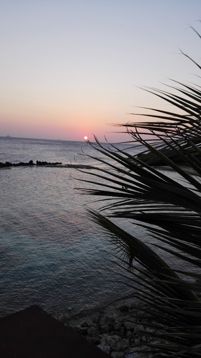 Photos of Bou Baranca