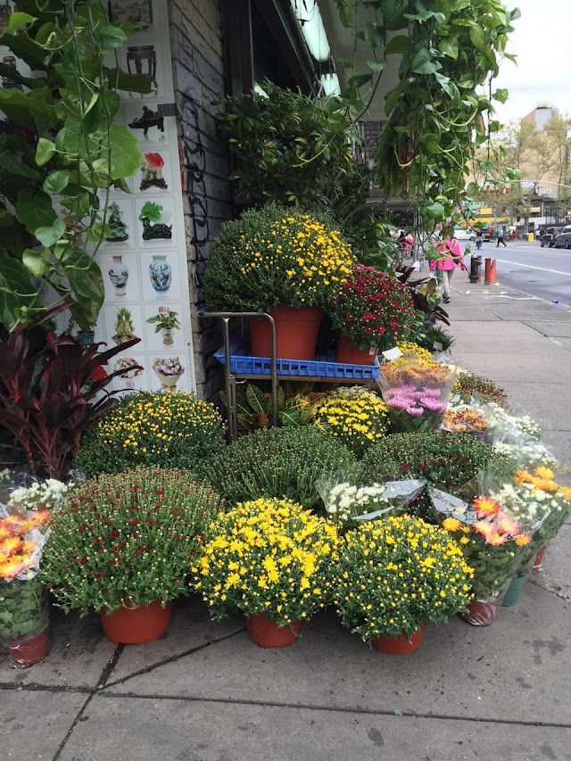 Da Hing Florist