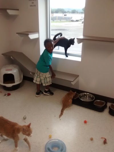 Photos of The Humane Society