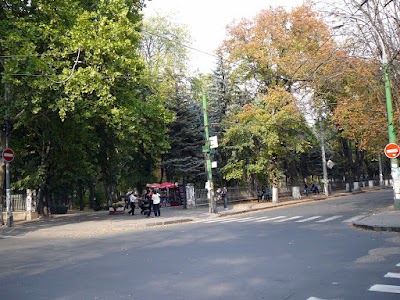 Photos of Museum of Archeology