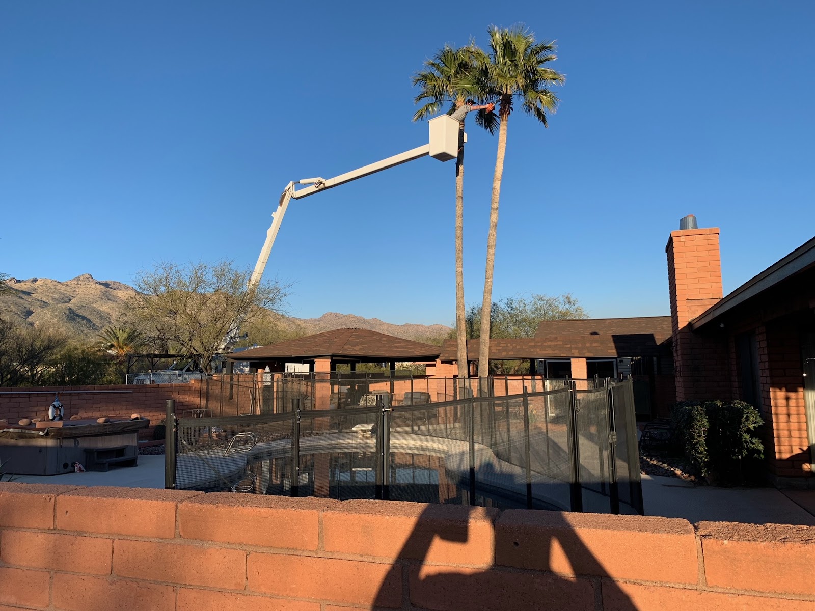 520 Tree Service