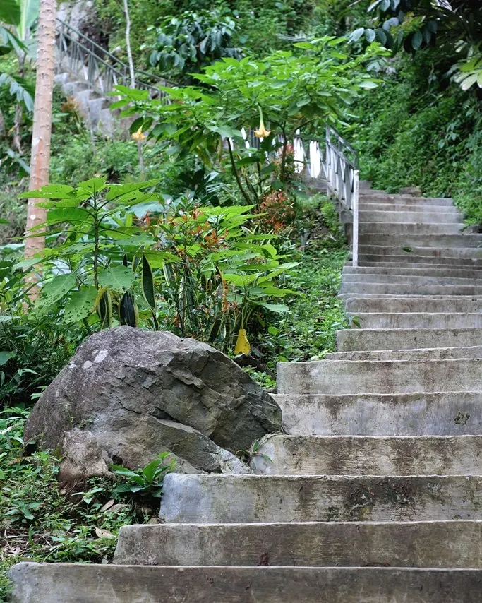 Foto stairs