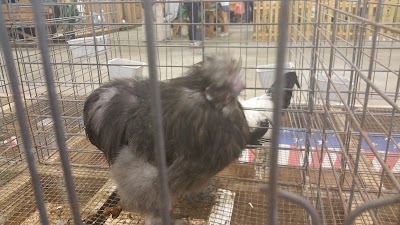 Photos of Greater Jacksonville Fair Association