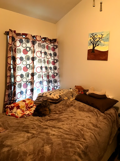 Rosemeade - Visual
