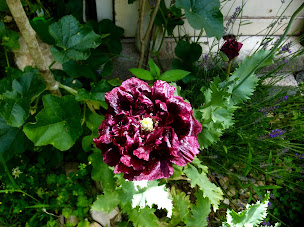 Photo n°18 de Gite des 3 petites notes à Domblans (Lodge)